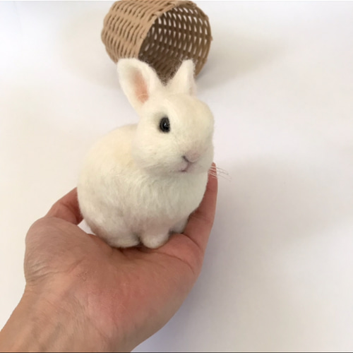 うさぎ 羊毛フェルト ネザーランドドワーフ ミニうさぎ 白 白