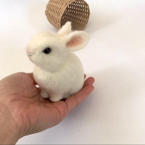 うさぎ 羊毛フェルト ネザーランドドワーフ ミニうさぎ 白 白