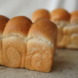 本物パンのから作った【ミニ食パン】1つ　パンの先生が作るパンのインテリア　お部屋に飾るだけでかわいいです。 1枚目の画像