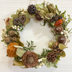 秋の実どっさり リース ドライフラワー W 23 リース Green Paradise
