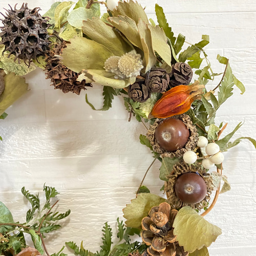 実ものたっぷりグリーンを楽しむリース　ドライアンドラ 実ものたっぷりグリーンを楽しむリース ドライアンドラ