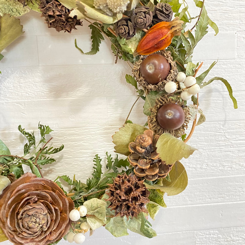 秋の実どっさり リース ドライフラワー W 23 リース Green Paradise