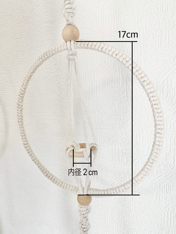 プラントハンガー　P-1 5枚目の画像