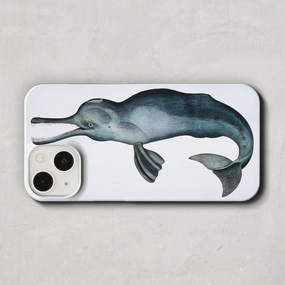 スマホケース / ジョン エドワード グレイ「インド カワ イルカ」 iPhone 全機種対応 海豚 個性的 絵 図鑑 1枚目の画像