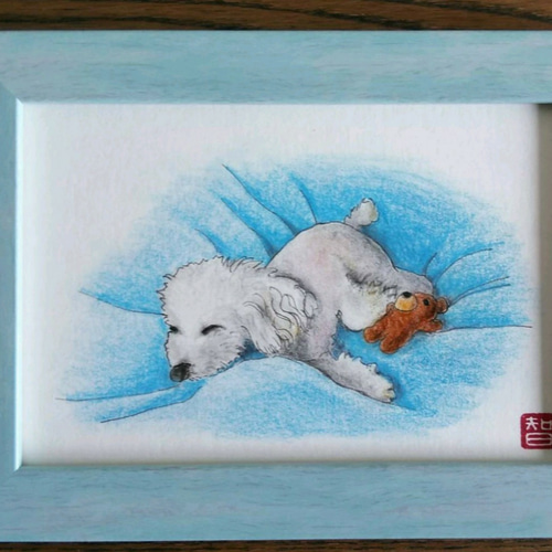 毛布を持って眠るトイプードル オーダー見本 令和最新版】トイプードルの