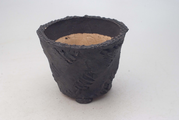 陶器製（２.5号ポット相当） #多肉植物 の欲しがる 植木鉢 IBLcd-ブラック 5161 1枚目の画像
