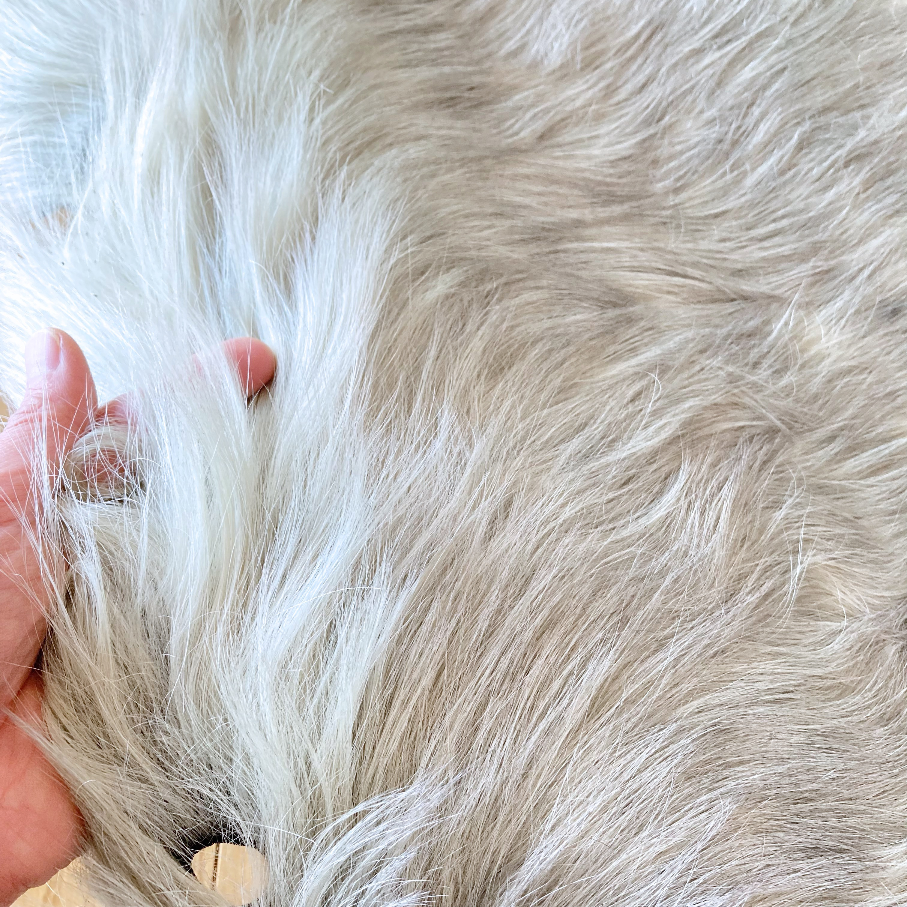 エルミタージュ-HERMITAGE- 68デシ アズーラ社（La Perla Azzurra）