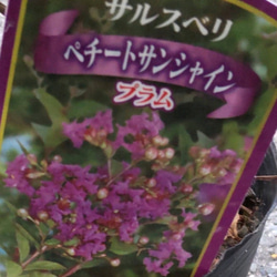 e780496335be098f5b5709ce1a0909