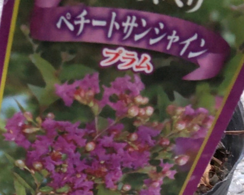 e780496335be098f5b5709ce1a0909