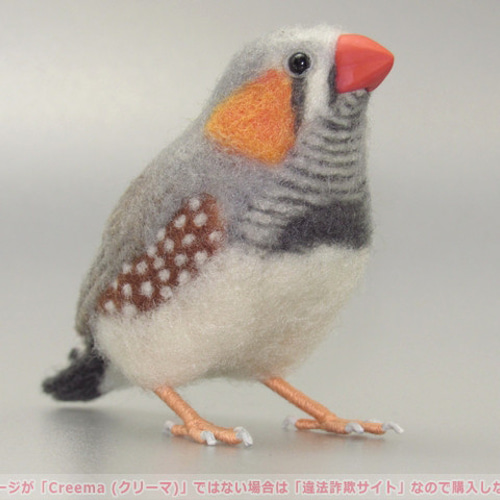 本トリ No.89 キンカチョウ 6号 / 羊毛フェルト リアルサイズ