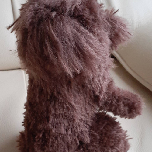 羊毛フェルト トイプードル 羊毛フェルト Kingこうた 通販 14683177