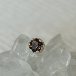 Bya no Kibou ~Smoky Quartz~ 第3張的照片