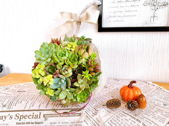 【そのまま飾れる】多肉植物　寄せ植え 　 ..＊ 48 ＊.. 3枚目の画像