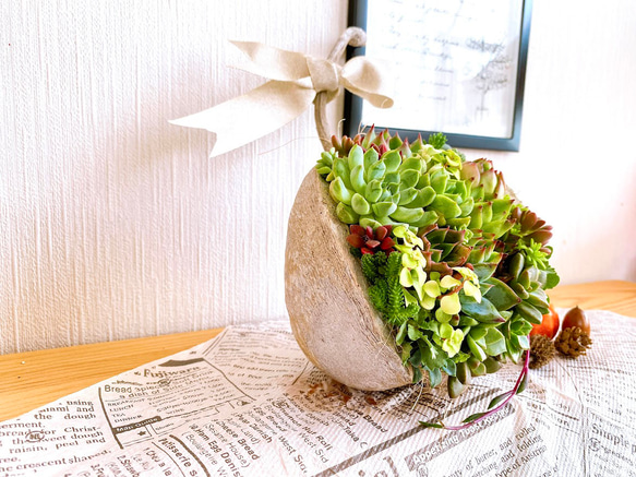 【そのまま飾れる】多肉植物　寄せ植え 　 ..＊ 48 ＊.. 2枚目の画像