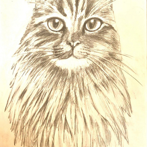 ［受注制作］［原画］ペット似顔絵アート◆A3サイズ　送料無料 ペット似顔絵ご注文のご案内 - TAKA-craft（タカ-クラフト