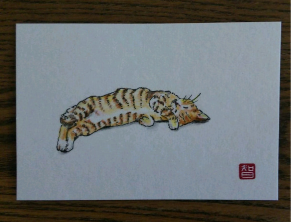 【トラ猫】猫ちゃんのお昼寝　原画　額なし 3枚目の画像