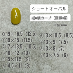 【３９】オーロラニュアンスとくすみボルドーの秋ネイル　シェルビジュー　ネイルチップ　付け爪　＊送料無料 6枚目の画像