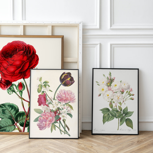 NO.416】白色の薔薇の花フラワーアートポスター☆母の日植物おしゃれ