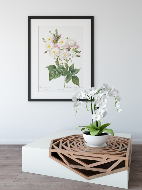 【NO.416】白色の薔薇の花フラワーアートポスター☆母の日植物おしゃれ上品可憐アンティークA3A2A1B5B4B3B2 5枚目の画像