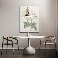 【NO.416】白色の薔薇の花フラワーアートポスター☆母の日植物おしゃれ上品可憐アンティークA3A2A1B5B4B3B2 11枚目の画像