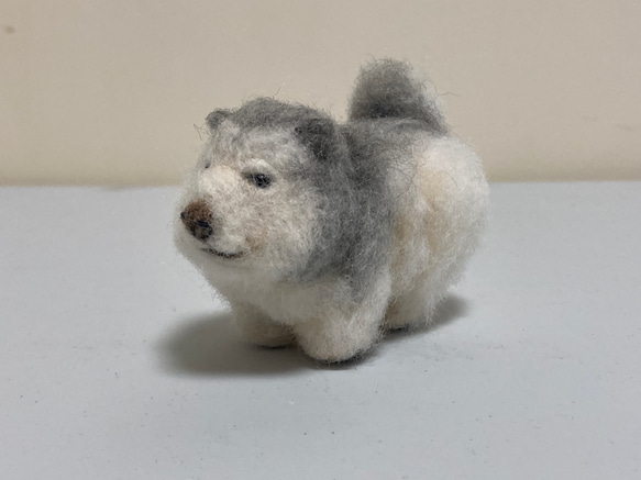 handmade 羊毛フェルト ☆ アラスカンマラミュート犬オーダー