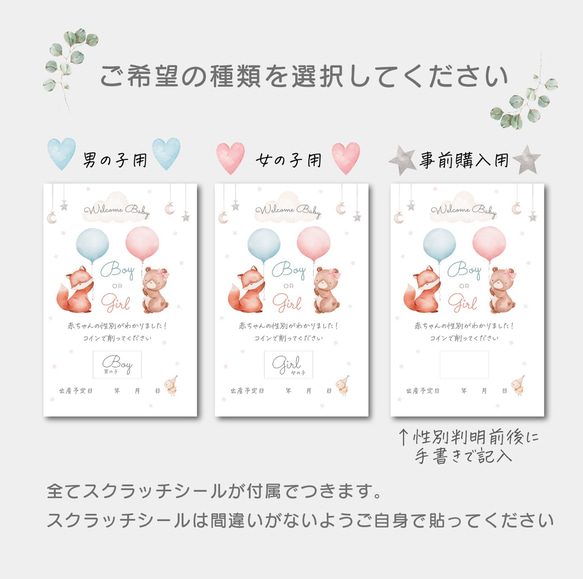 ジェンダーリビールカード＊赤ちゃんの性別発表＊スクラッチポストカード♪女の子・男の子用・ふたご用・事前購入用・三つ子用 2枚目の画像