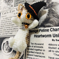 fcc2794b13635722e33b7047c8f7cb