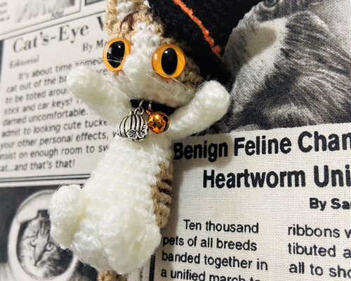 fcc2794b13635722e33b7047c8f7cb