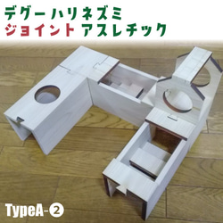 デグー ハリネズミ〈ジョイント〉アスレチック TypeA-② おもちゃ 遊び道具 トンネル 部屋んぽ ハウス 木製 遊具 1枚目の画像