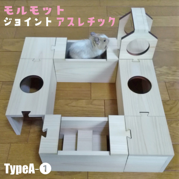 モルモット〈ジョイント〉アスレチック TypeA-① 遊び道具 部屋んぽ 迷路 遊び場 階段 ハウス 木製 ひのき 散歩 1枚目の画像