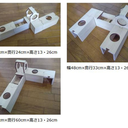 天竺鼠 &lt;關節&gt; 運動型 A-② 遊樂設備室 迷宮 遊樂場 樓梯 房屋 木製榿木 行走 第3張的照片