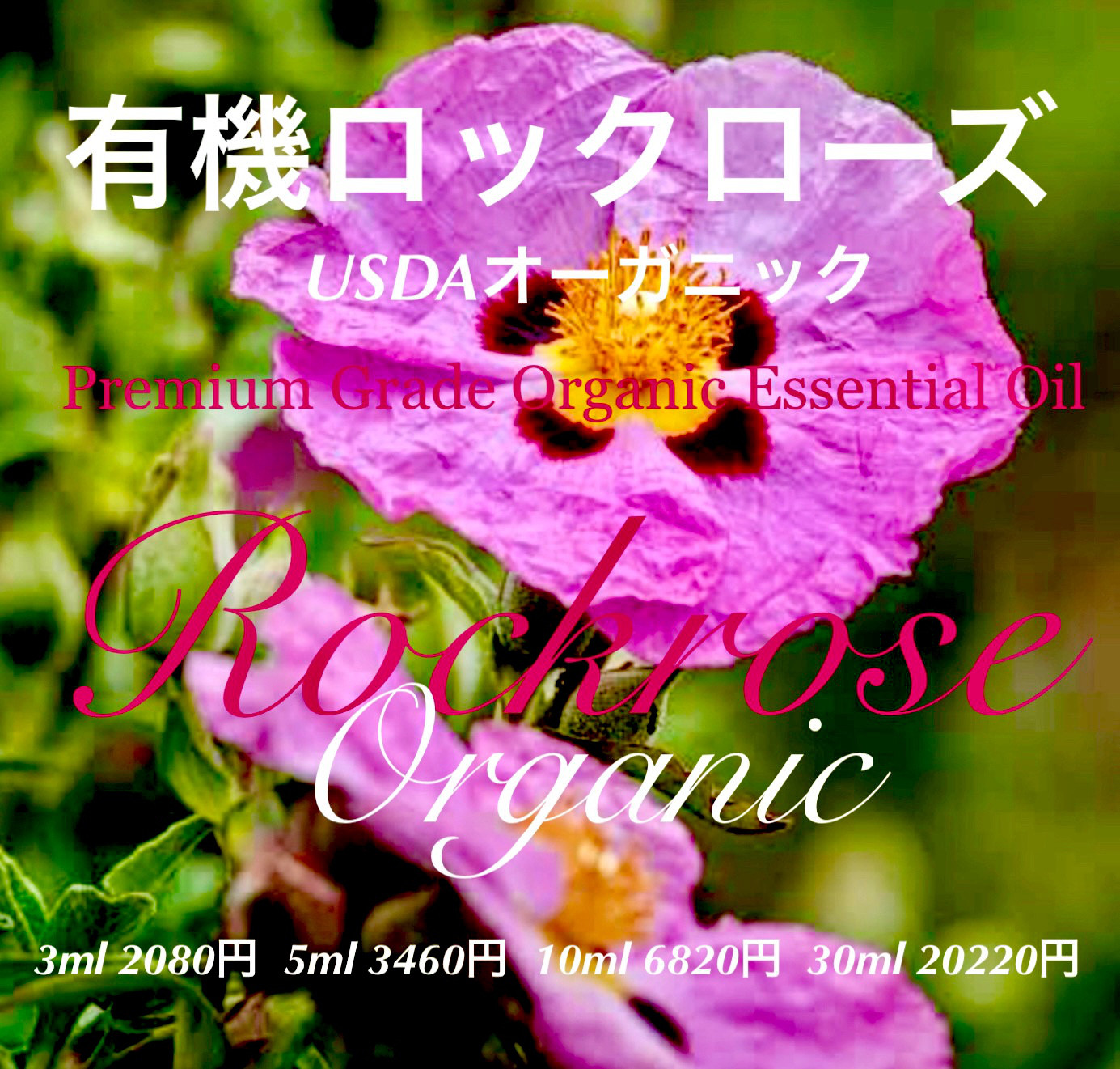 USDAオーガニックロック（シスト）ローズ（水蒸気蒸留法）精油（ラブダナム）30ml