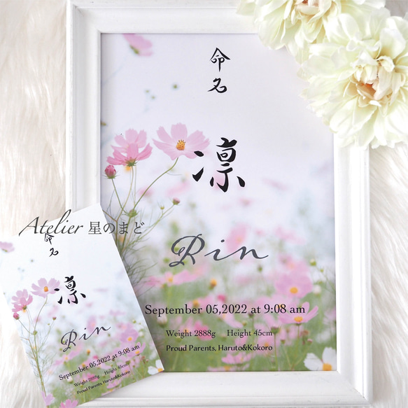 命名書☆オーダー☆おしゃれな誕生月・季節花の命名紙☆「秋桜」 A4サイズ＆葉書サイズのお得なセット♪ 1枚目の画像