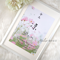 命名書☆オーダー☆おしゃれな誕生月・季節花の命名紙☆「秋桜」 A4サイズ＆葉書サイズのお得なセット♪ 4枚目の画像