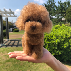 愛犬ちゃんのそっくりなリアルなペット人形をお作りします！　羊毛フェルト　犬　オーダー　ぬいぐるみ　愛犬　　ペット　リアル 3枚目の画像