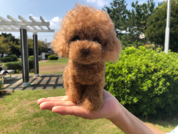 愛犬ちゃんのそっくりなリアルなペット人形をお作りします！　羊毛フェルト　犬　オーダー　ぬいぐるみ　愛犬　　ペット　リアル 3枚目の画像