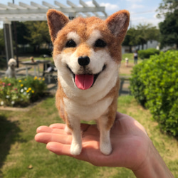 愛犬ちゃんのそっくりなリアルなペット人形をお作りします！　羊毛フェルト　犬　オーダー　ぬいぐるみ　愛犬　　ペット　リアル 1枚目の画像