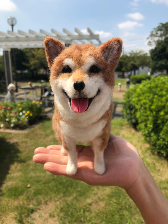 愛犬ちゃんのそっくりなリアルなペット人形をお作りします！　羊毛フェルト　犬　オーダー　ぬいぐるみ　愛犬　　ペット　リアル 1枚目の画像