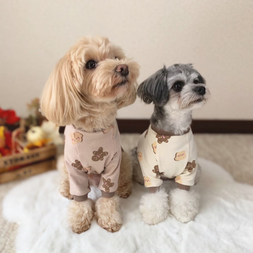 犬服‼︎クッキー柄スムースニット アイボリー⭐️XS.S.M.DXS.DS