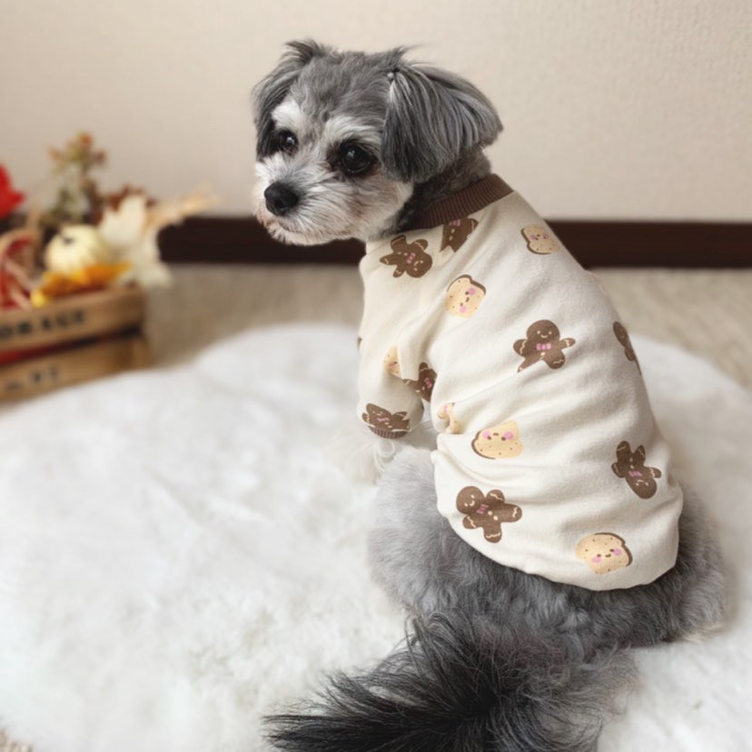 犬服‼︎クッキー柄スムースニット アイボリー⭐️XS.S.M.DXS.DS