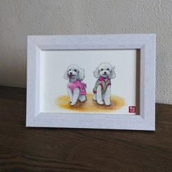 トイプードル白】双子のトイプードル 原画 額あり イラスト hinako