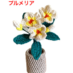 あみぐるみ　Aモビール　フラワー blogger-image--1471795399.jpg