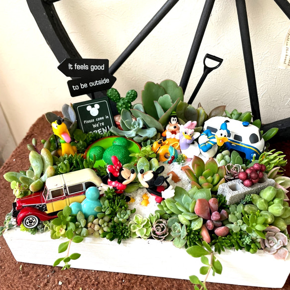値下げしました♪♪★★箱庭風❤️★寄せ植え★このまま飾れます★多肉植物★★ 受注制作 ゲート箱庭風多肉植物寄せ植え その他インテリア雑貨