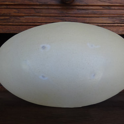 『モダン加飾楕円皿26㎝』パスタ皿カレー皿サンマ皿盛り皿 8枚目の画像