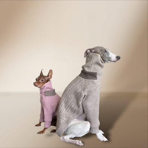 【イタグレ ウィペット】jazznep aran tricoté イタグレ ウィペット】jazznep aran tricoté