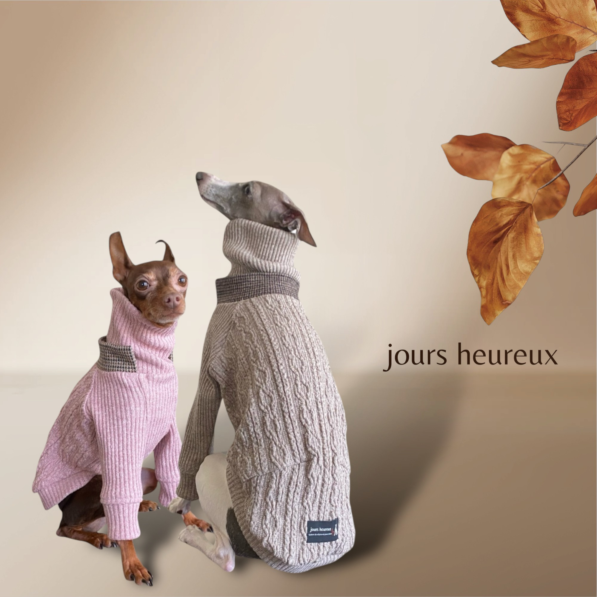 【イタグレ ウィペット】jazznep aran tricoté イタグレ ウィペット】jazznep aran tricoté ペット服