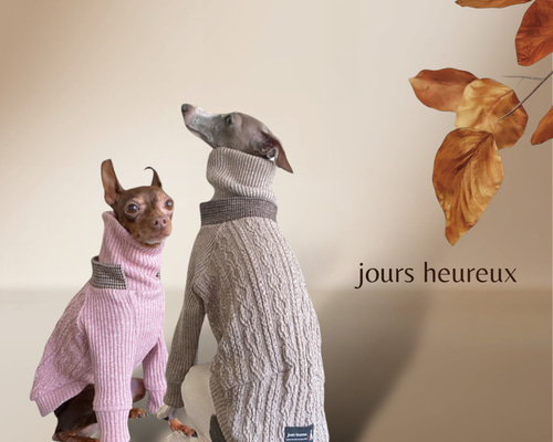 イタグレ ウィペット】jazznep aran tricoté ペット服・アクセサリー