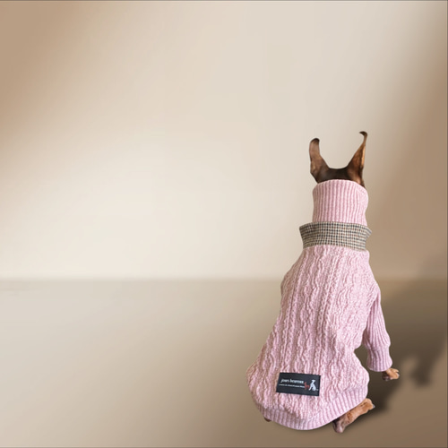 イタグレ ウィペット】jazznep aran tricoté ペット服