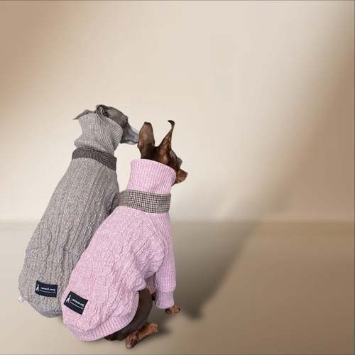 【イタグレ ウィペット】jazznep aran tricoté イタグレ ウィペット】jazznep aran tricoté ペット服