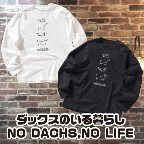 797913ca60cbf5a0edbc04d1eb6009